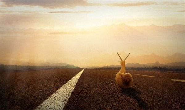 六間房劉巖：創(chuàng)業(yè)有七“似”，丐娼盜匪俠王神