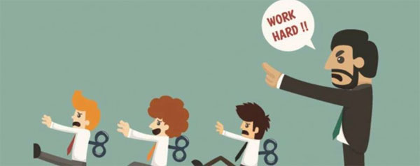 年底，員工對老板說的一句最傻的話是？