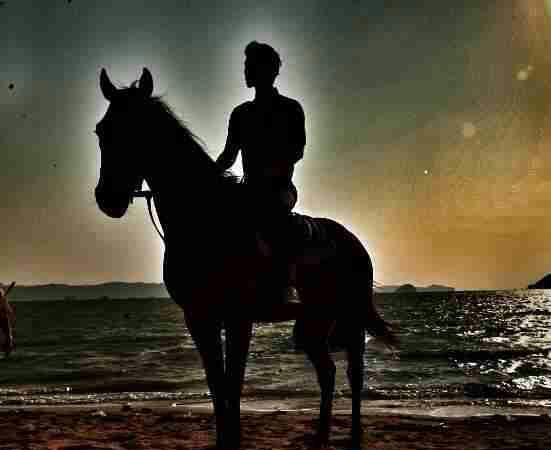 其實(shí)，哪里有真的白馬王子？