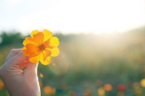 做你自己，不要刻意去取悅別人