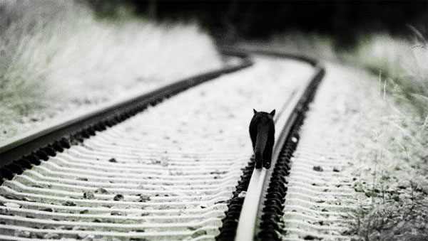 汽車服務(wù)O2O-Yocar周新楷：2014年，我們創(chuàng)業(yè)失敗了