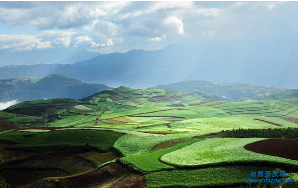 污染修復(fù)工程設(shè)計(jì)資質(zhì)需要配備哪些人員