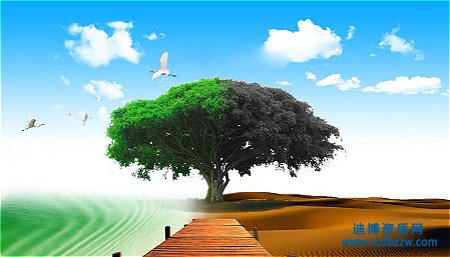 環(huán)保工程資質(zhì)代辦如何準(zhǔn)備資產(chǎn)？