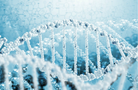 成都市政資質(zhì)辦理