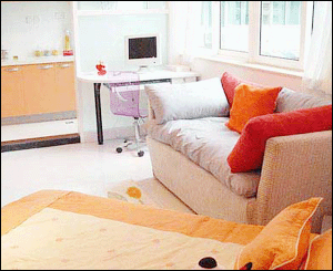 白領(lǐng)單身公寓：小戶型效果圖欣賞