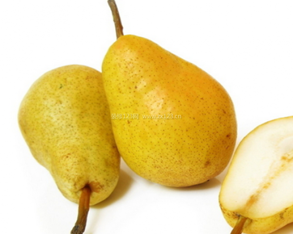 室內(nèi)裝飾植物