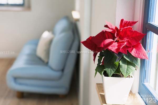 新年裝修風水注意飾品的選擇與擺放