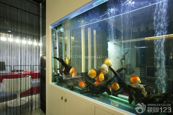 魚缸的擺放位置