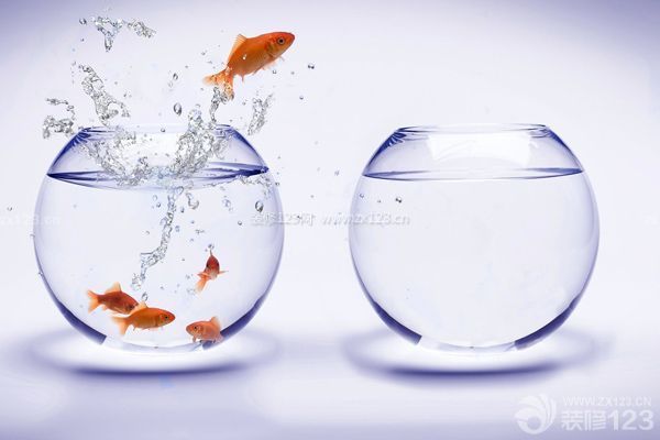 魚缸的擺放位置