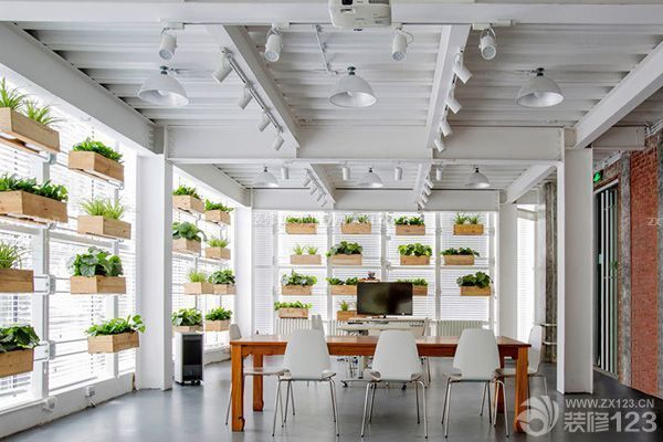 上海辦公室裝修除味之植物凈化
